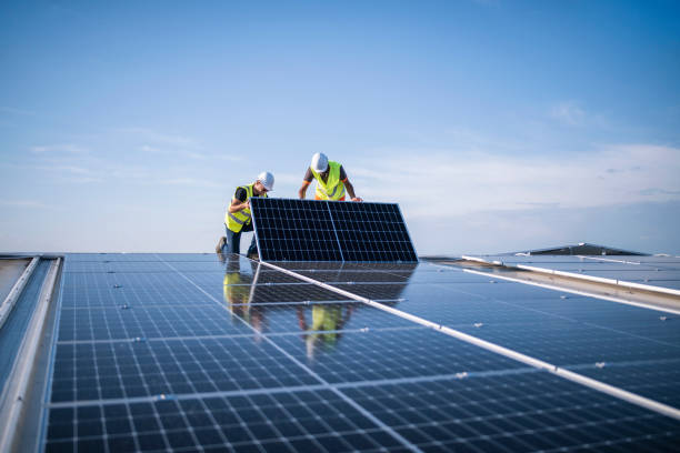 Best Roof Maintenance and Cleaning  in Delevan, NY