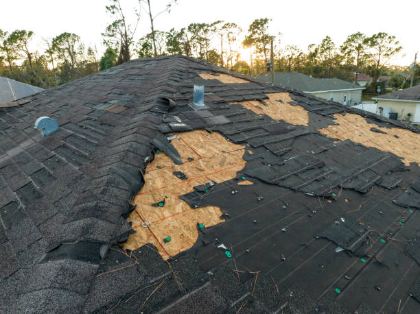 Best Slate Roofing  in Delevan, NY