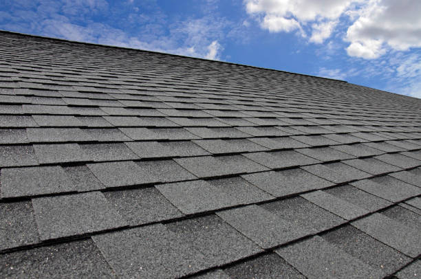 Best Storm Damage Roof Repair  in Delevan, NY